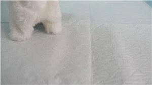 Подушечка для мочіння для котячої клітки нестандартного розміру